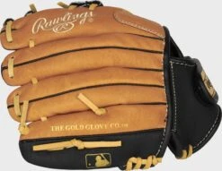 Rawlings Sure Catch 10-Inch Youth I-Web Glove -Rawlings Store SC100TBI 4