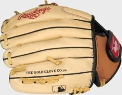 Rawlings Sure Catch 10.5-Inch Youth I-Web Glove -Rawlings Store SC105TCI 4